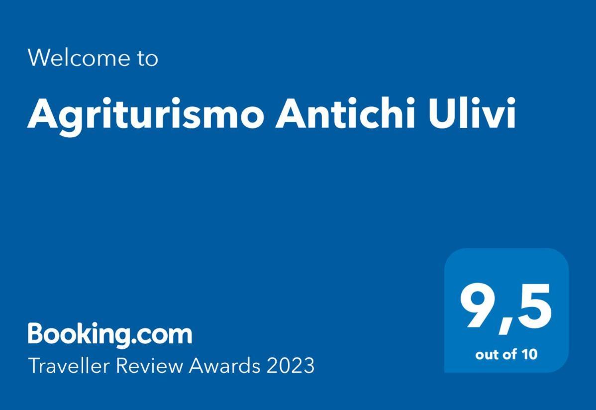 Agriturismo Antichi Ulivi Villa Mattinata Kültér fotó