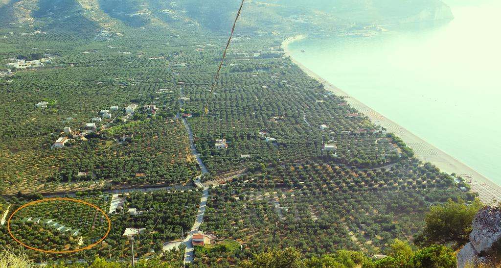 Agriturismo Antichi Ulivi Villa Mattinata Kültér fotó