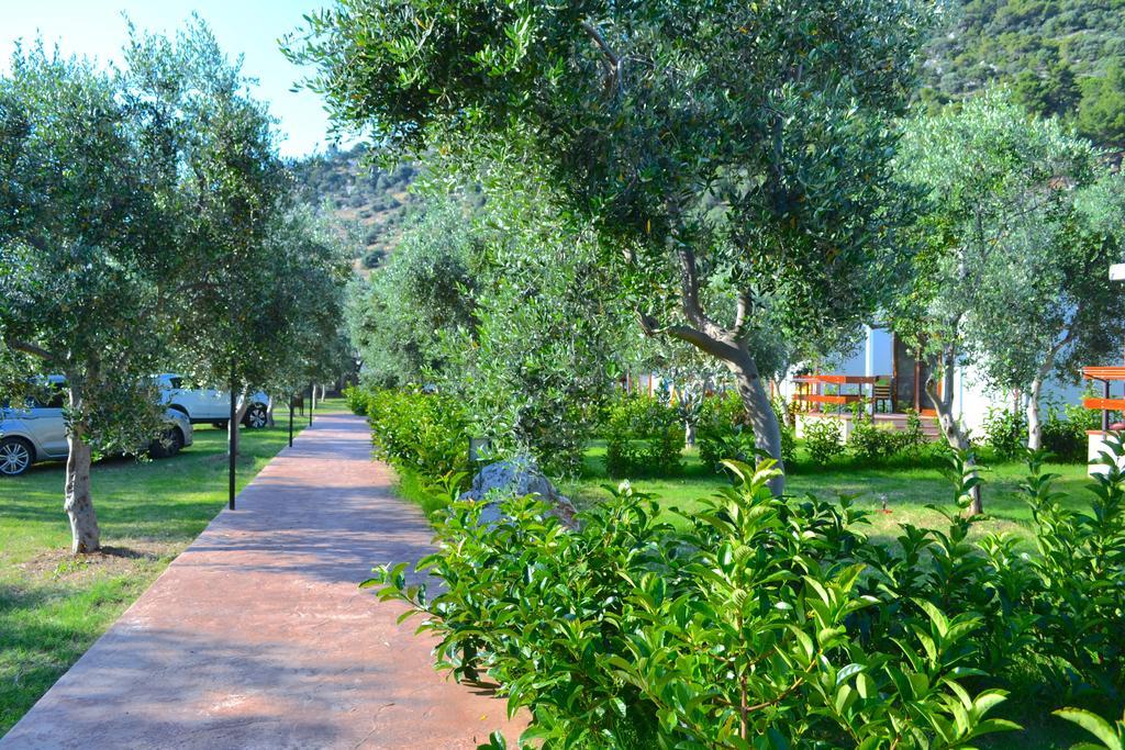 Agriturismo Antichi Ulivi Villa Mattinata Kültér fotó