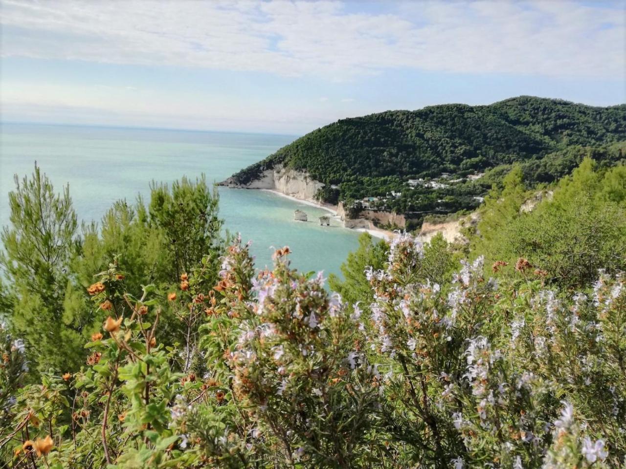 Agriturismo Antichi Ulivi Villa Mattinata Kültér fotó